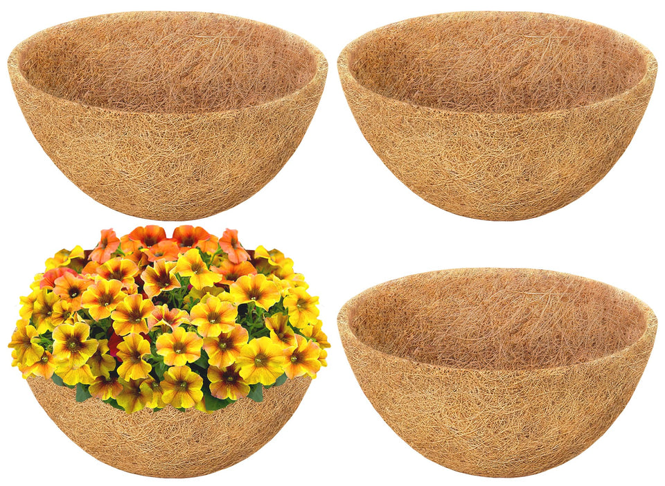Sunwinx 20-inch round coconut liner in hanging basket for vibrant plants