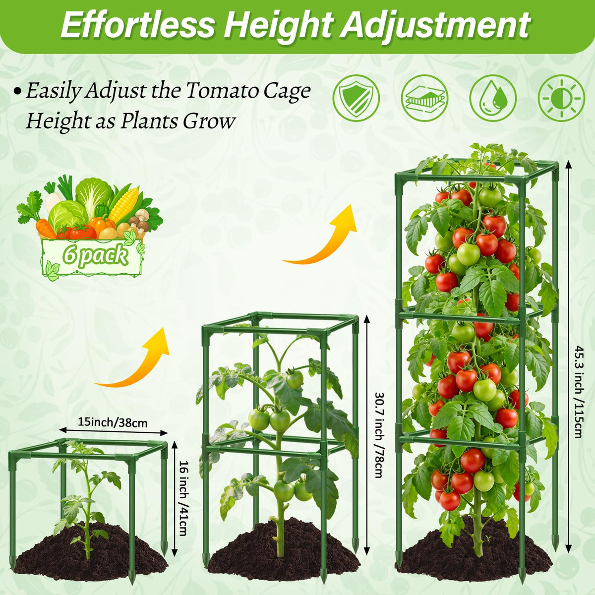 Sunwinx adjustable height tomato stake demonstrates season long height options.