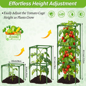 Sunwinx adjustable height tomato stake demonstrates season long height options.