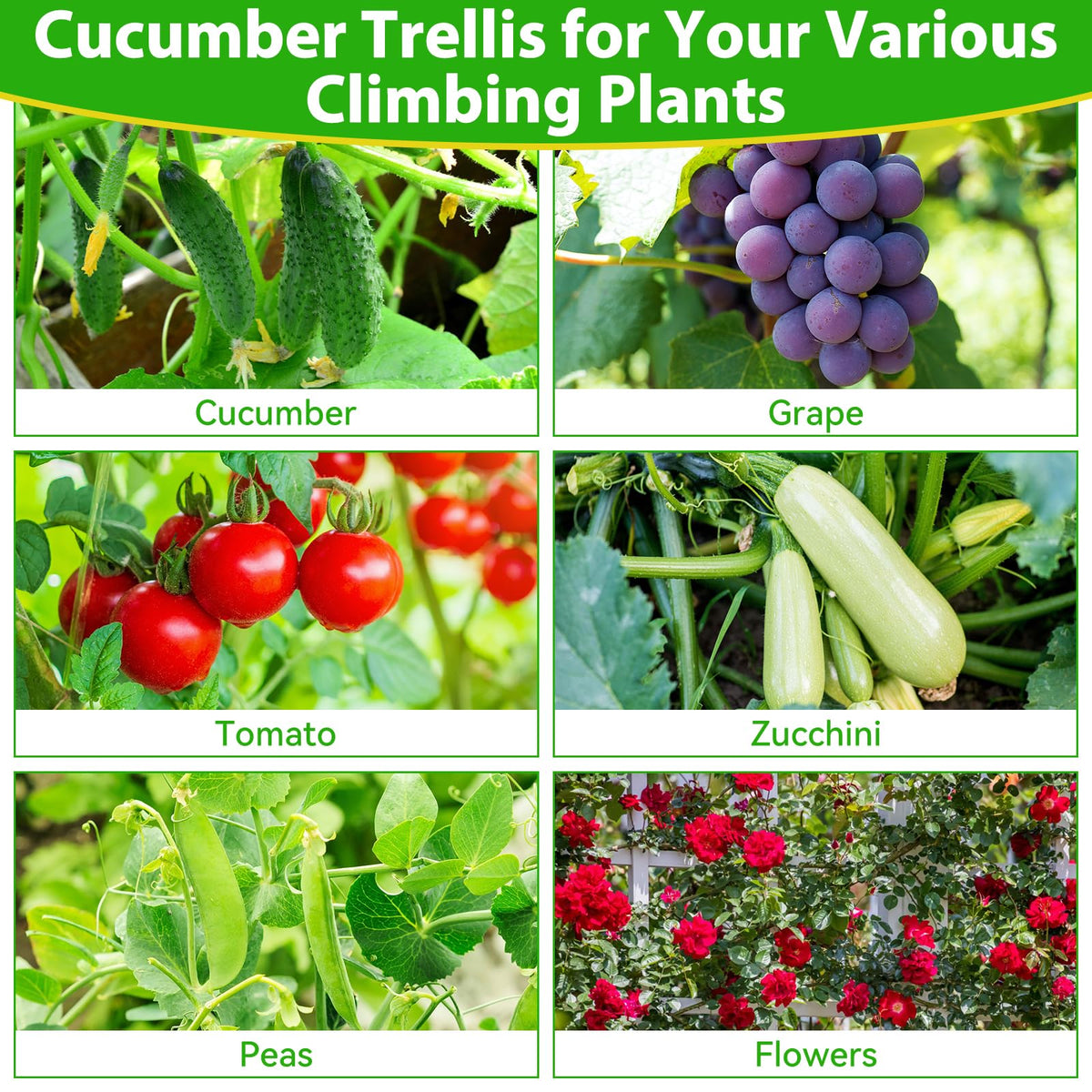 All in one garden trellis kit includes netting clips and gloves.
