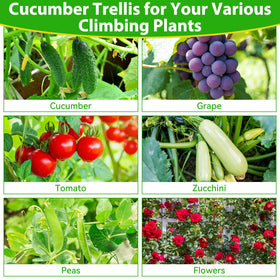 All in one garden trellis kit includes netting clips and gloves.