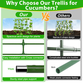Arch design promotes vertical growth and improved air circulation.