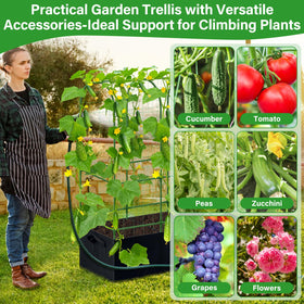 Sunwinx climbing plants on trellis for tidy, space-saving harvests.