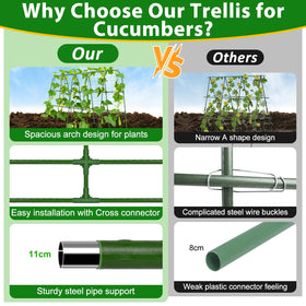 Sunwinx arch design boosts airflow and sunlight for healthier vines.