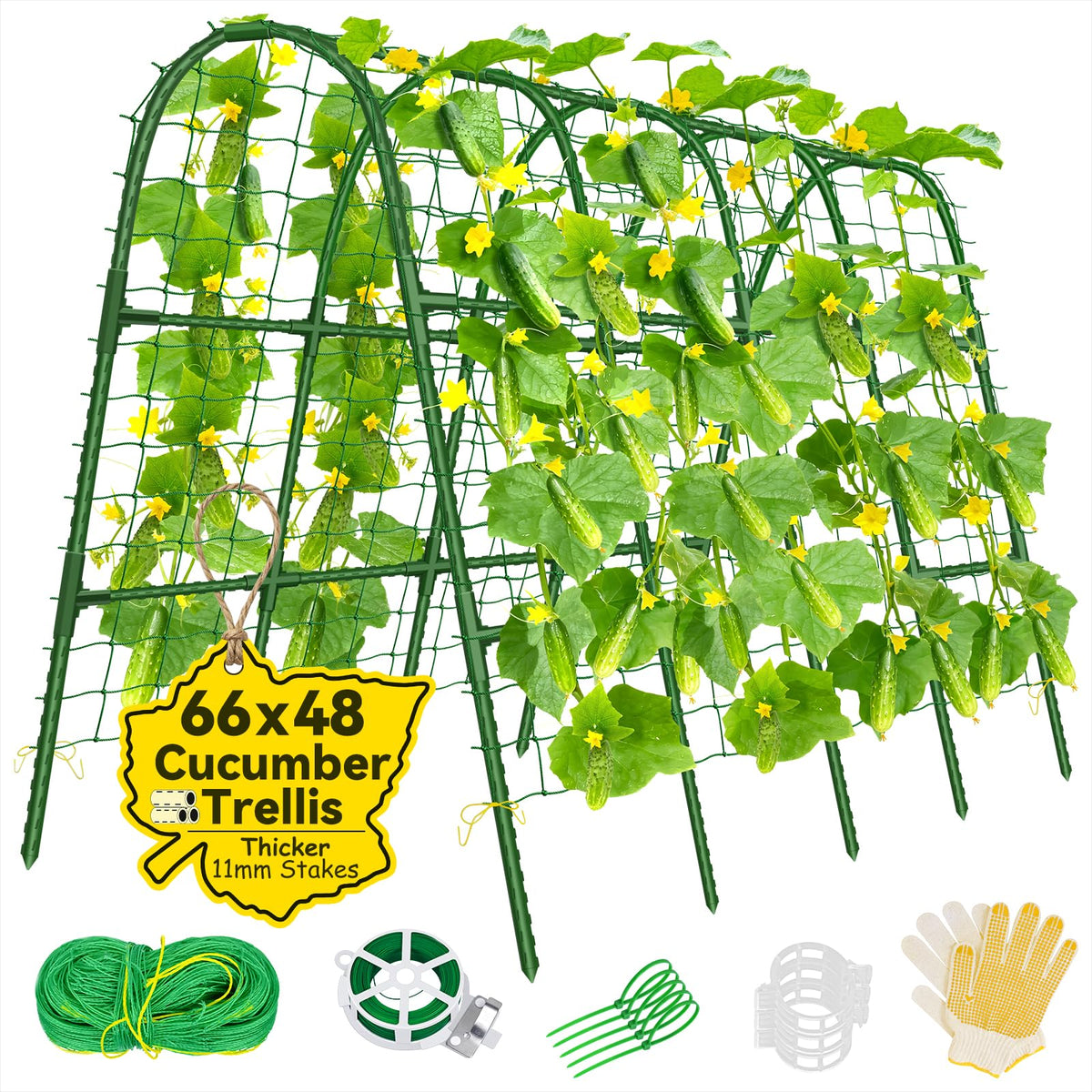 Sunwinx cucumber trellis arch overview showing space-saving vertical growth.
