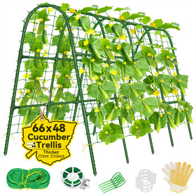 Sunwinx cucumber trellis arch overview showing space-saving vertical growth.