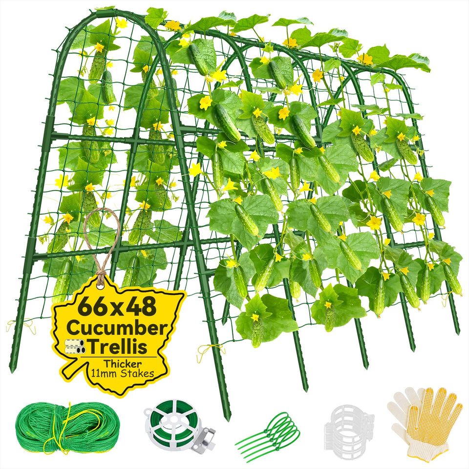 Sunwinx cucumber trellis arch overview showing space-saving vertical growth.