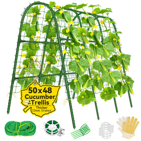 Sunwinx cucumber trellis arch over raised bed supports climbing plants efficiently.