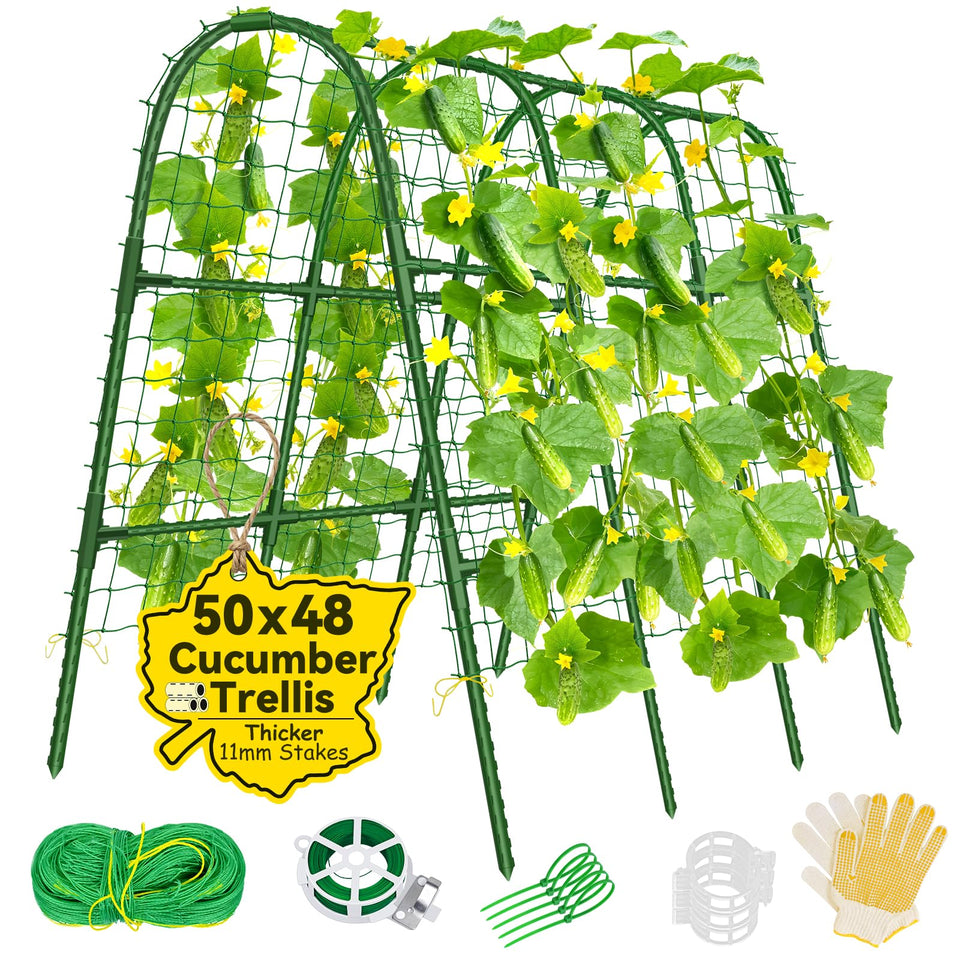 Sunwinx cucumber trellis arch over raised bed supports climbing plants efficiently.