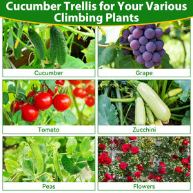 Sunwinx universal garden trellis fits cucumbers, tomatoes, peas, beans.