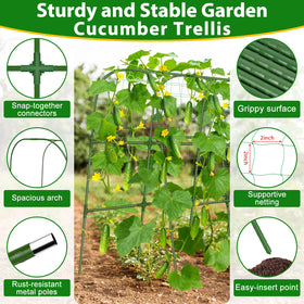 Sunwinx weather-resistant tubes withstand sun and rain in outdoor gardens.
