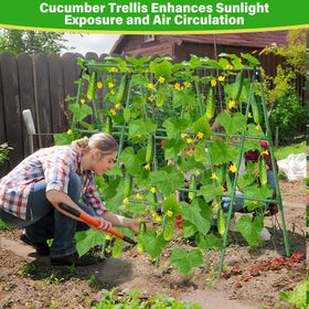 Sunwinx trellis disassembles easily for compact seasonal storage.