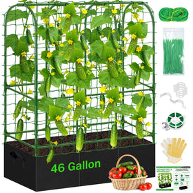 Sunwinx garden cucumber trellis arch set supports vertical growth for cucumbers.