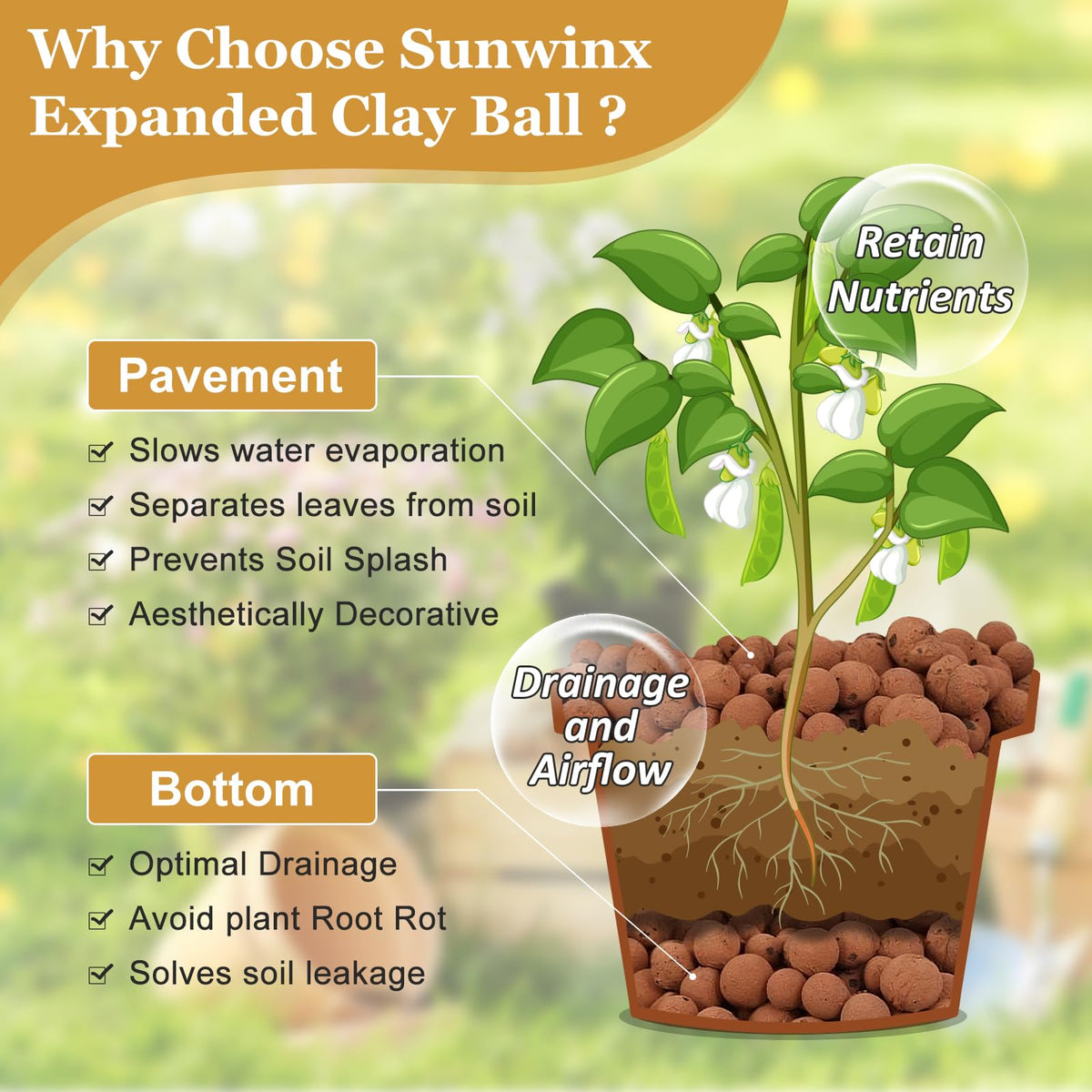 Sunwinx hydroponics setup with leca balls for moisture balance