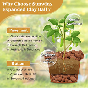 Sunwinx hydroponics setup with leca balls for moisture balance