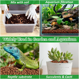 Sunwinx Leca balls used with orchids for stable humidity and ventilation