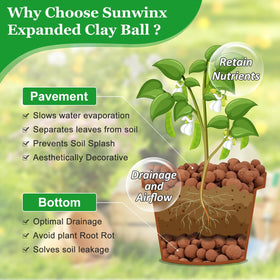 Sunwinx Leca balls in pot bottom for enhanced drainage and air flow