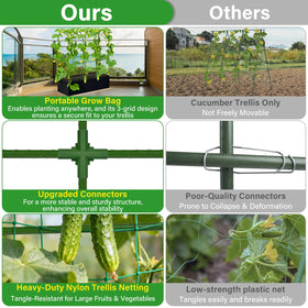 Sunwinx plant clips and zip ties help train vines neatly.