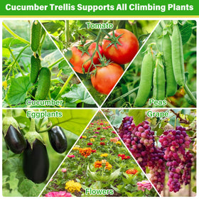 Sunwinx garden trellis fits raised beds and small spaces.