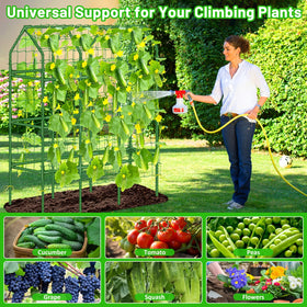 Sunwinx vertical garden solution improves airflow and space efficiency