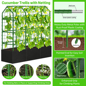 Sunwinx trellis netting keeps vines neatly guided.