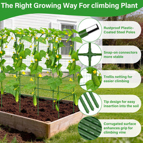 Sunwinx trellis netting provides sturdy support for climbing vines.