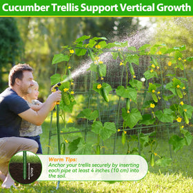 Universal plant support for cucumbers tomatoes beans and flowering vines.