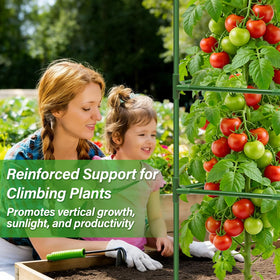 Sunwinx versatile cages suit tomatoes peppers cucumbers beans and more.
