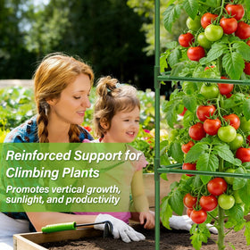 Sunwinx versatile outdoor and indoor use for tomatoes peppers and beans.