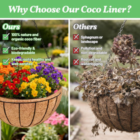 Sunwinx 12-inch liner withstands sun and rain, maintaining shape for seasons