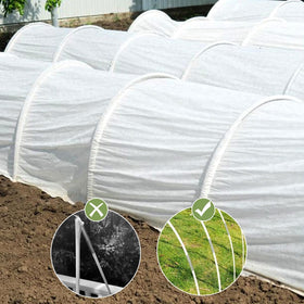 Sunwuk row-cover setup protects seedlings from wind and pests.