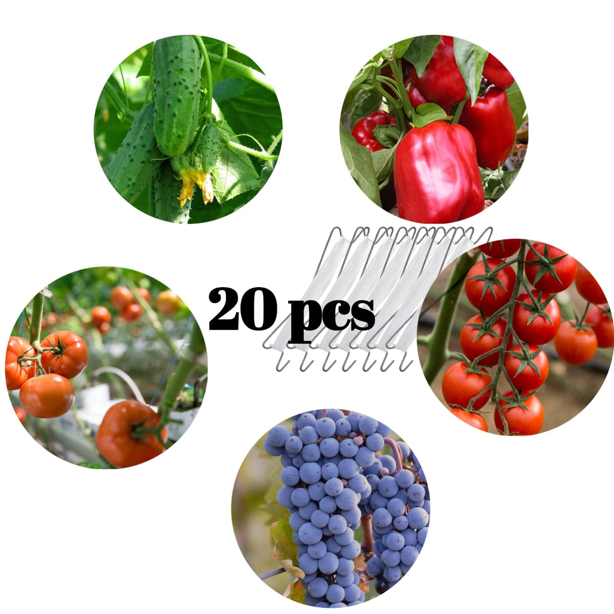SUOWEEI 20-pack tomato hooks kit simplifies inspection, care, and harvest.