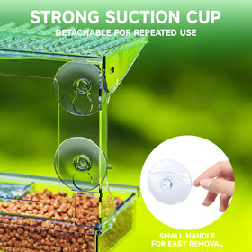 SuoXing Acrylcc transparent viewing design offers unobstructed birdwatching