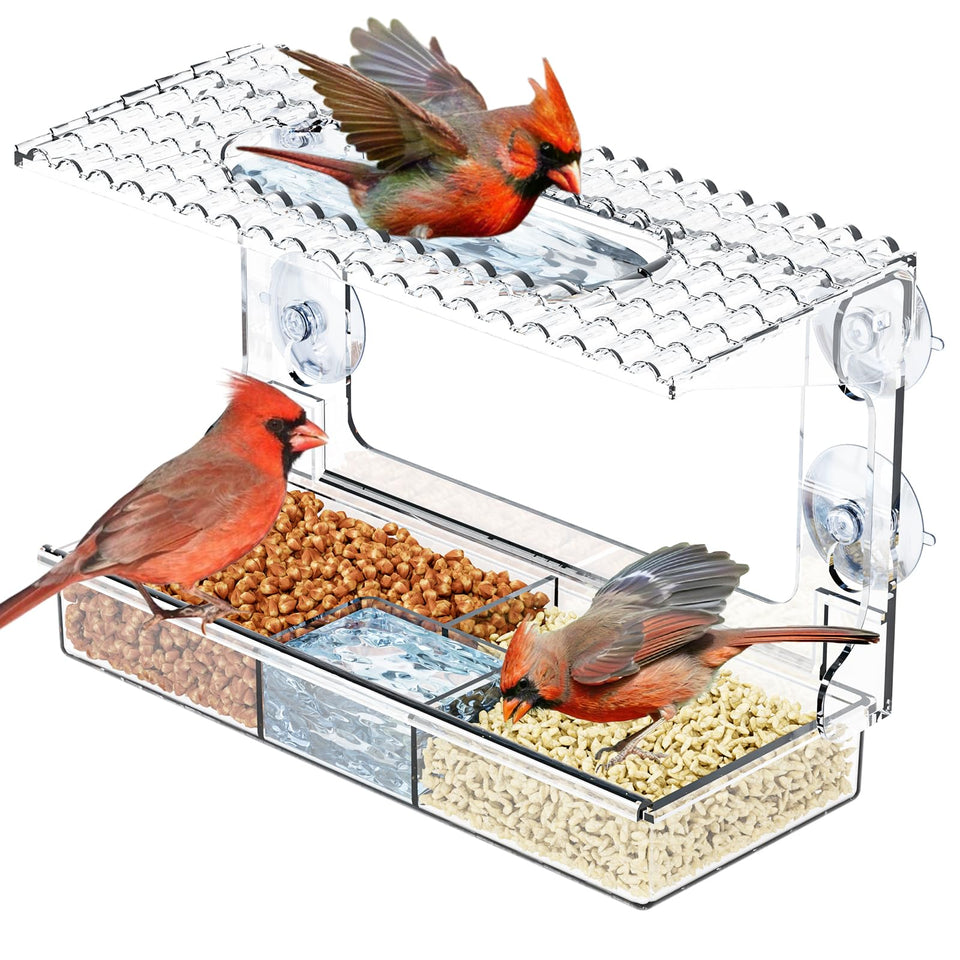 SuoXing Acrylcc window feeder top view for close-range birdwatching at home