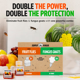 Super Ninja fruit fly traps with natural attractant catch flies cleanly.