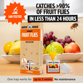Super Ninja fruit fly trap with natural liquid bait attracting flies quickly.