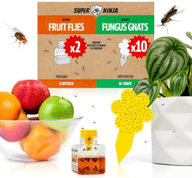 Super Ninja fungus gnat traps in bright yellow attract gnats indoors.