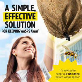 Super Ninja wasp nest hanging on a patio provides a calm outdoor space.