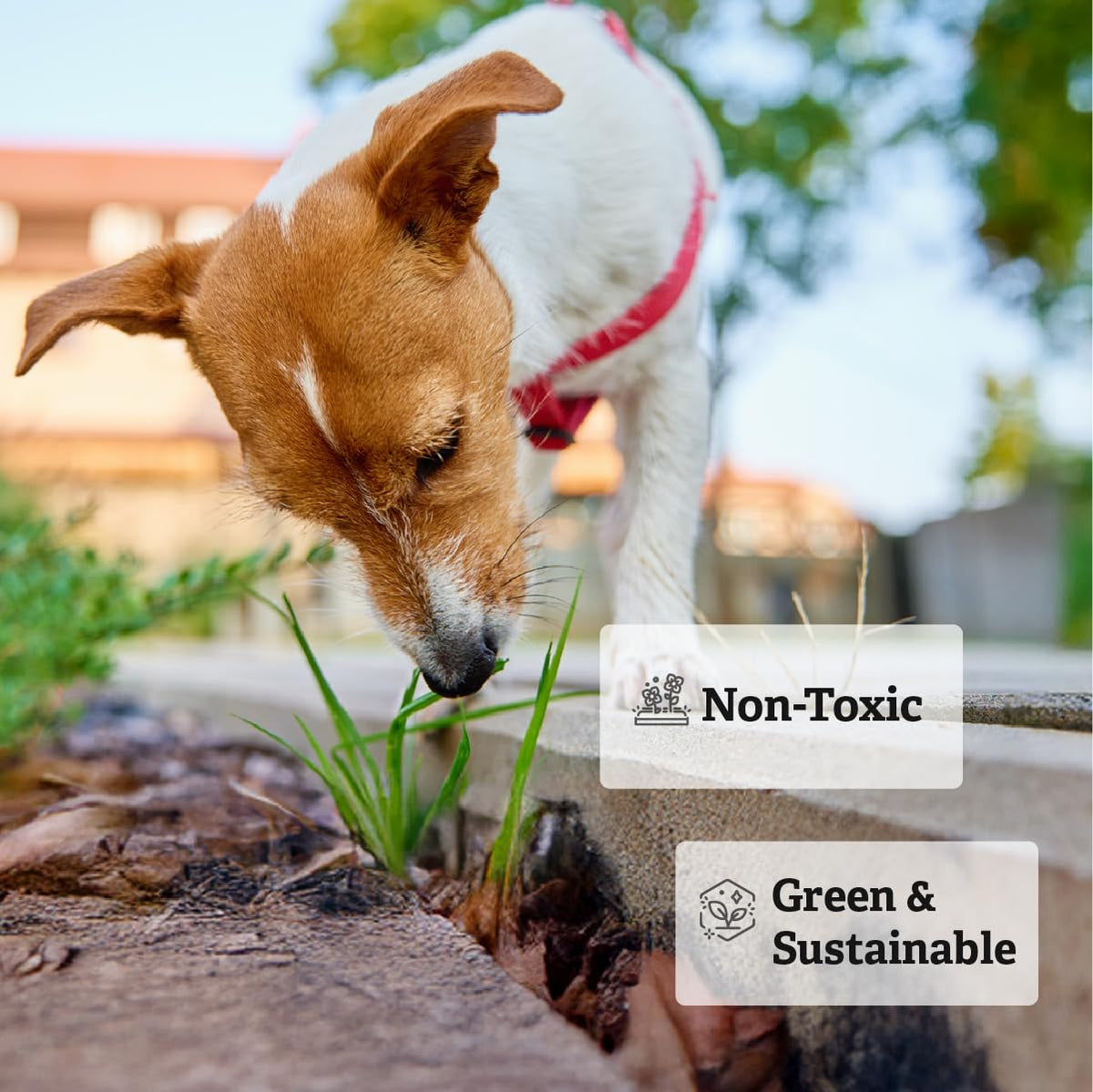 Non-toxic TerraLock formula supports erosion reduction and hold