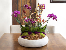 SuperMoss Orchid Bark is sustainably sourced and non-toxic for safe use.