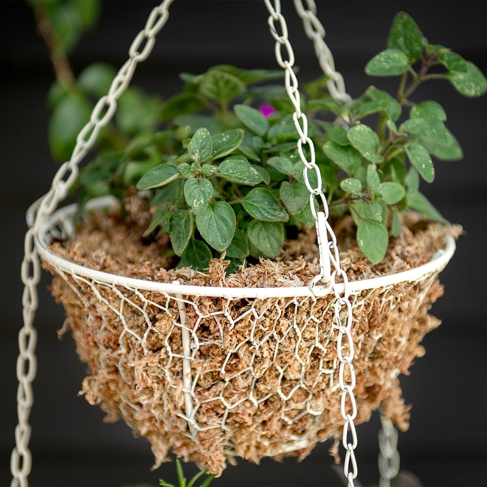 SuperMoss moss enhances decorative planters, wreaths, and terrariums.