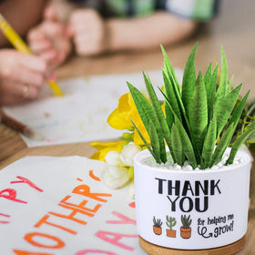 Supersun desktop-window-sill-planter fits any workspace for cheerful greenery.