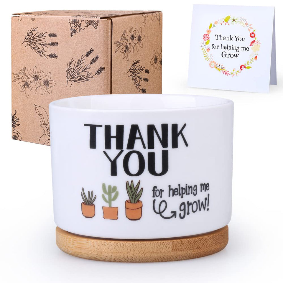Supersun teacher-appreciation-pot on a desk, a thoughtful grow-themed gift for educators.