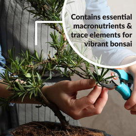 SUPERthrive Bonsai-Pro close-up of nutrient-rich leaves benefiting growth.