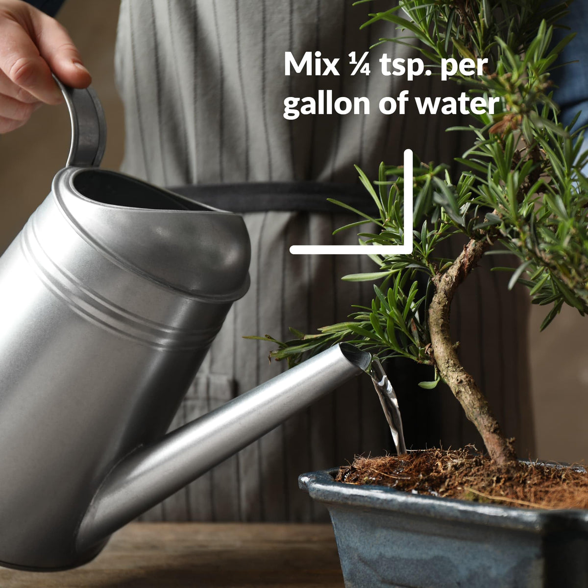 SUPERthrive Bonsai-Pro bottle beside soil and soilless media for feeding compatibility.