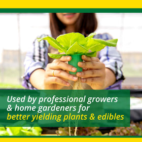 Gallon mix shows scalable dosing for larger gardening projects with SUPERthrive