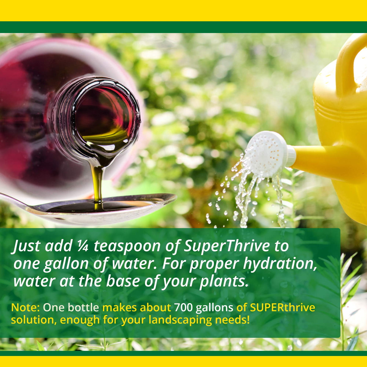 Indoor outdoor usage of SUPERthrive illustrated with thriving potted plant