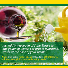 Indoor outdoor usage of SUPERthrive illustrated with thriving potted plant
