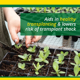 Kelp nutrients boost in SUPERthrive promotes natural nourishment for plants