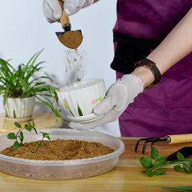 SupKing 2-pack plant saucers offer reliable value for paired pots.
